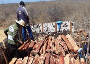 Quatro homens são presos transportando madeira ilegal em Avelino Lopes,  no Piauí